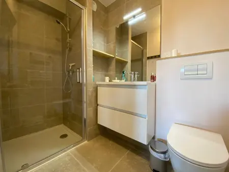 Appartement 2 ch + cabine vue vallée, terrasse 17 m² : photo 13