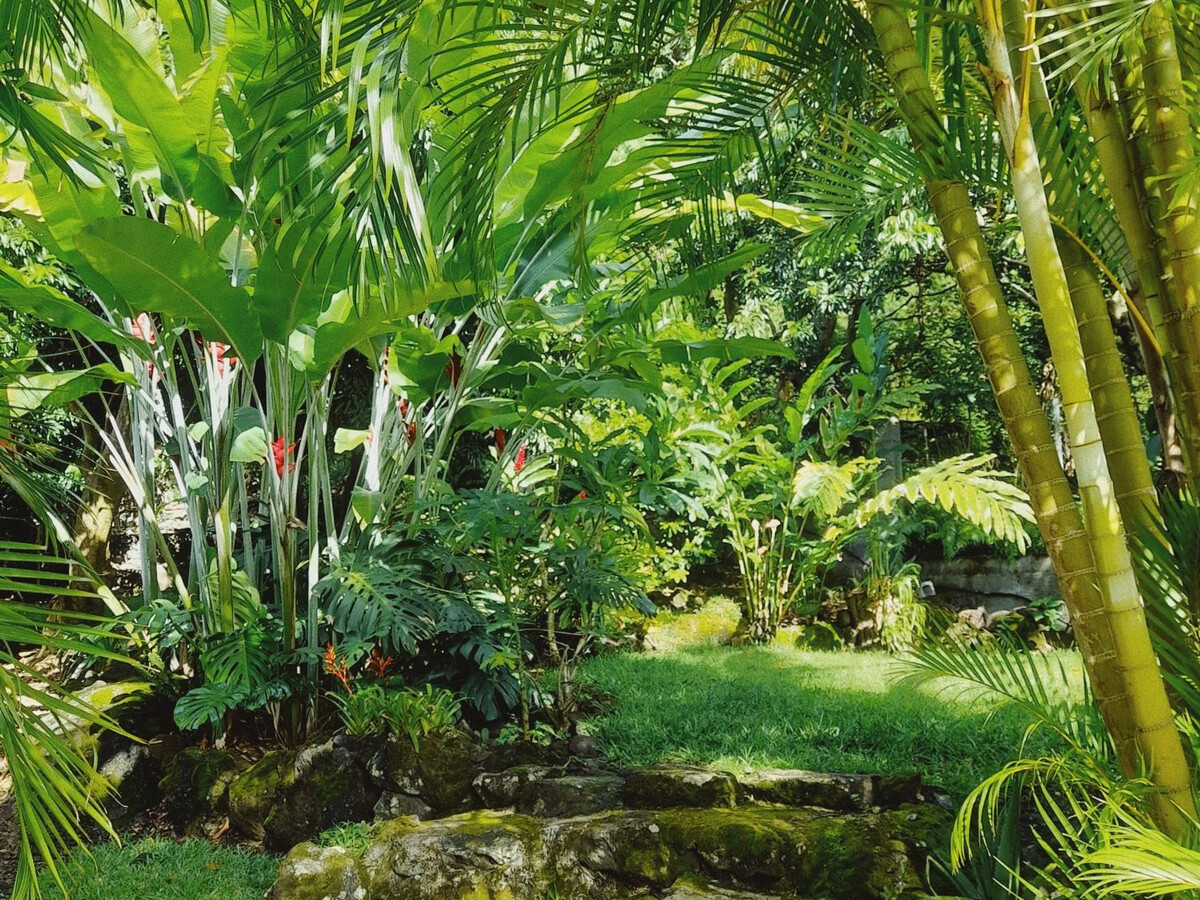 Gîte Jardin des Goyaves - 6 pers, accès randos et sud sauvage - Photo 6