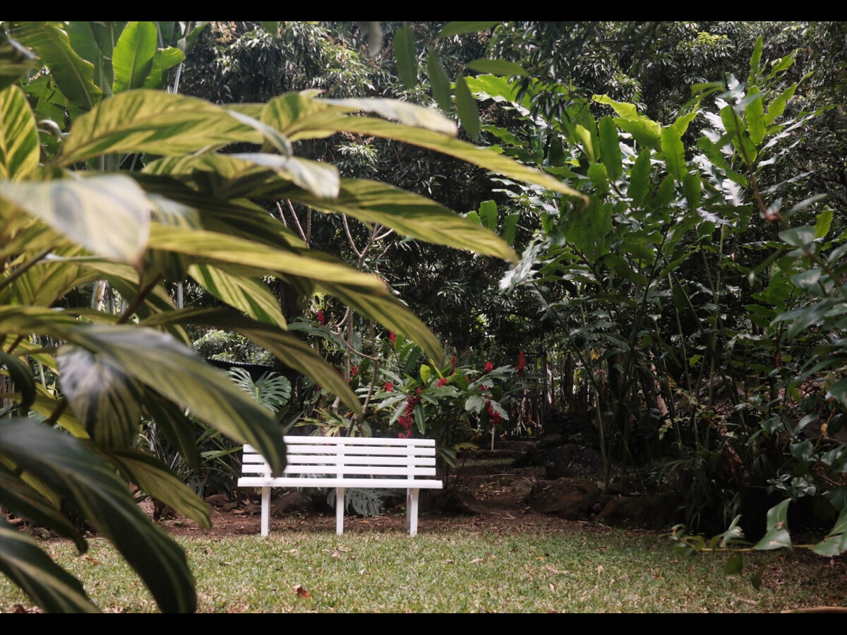 Gîte Jardin des Goyaves - 6 pers, accès randos et sud sauvage - Photo 7
