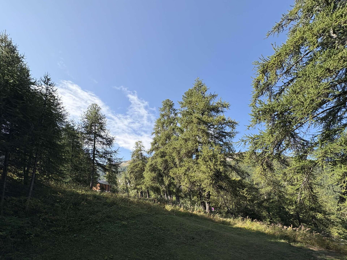Studio 4 pers aux Orres, balcon sud, 100 m des pistes - Photo 8
