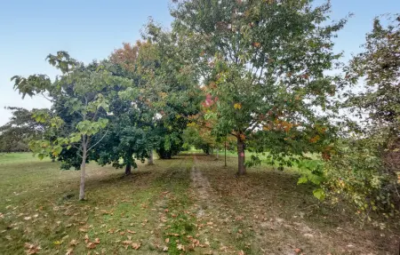 Maison familiale du 19e siècle, 25 000 m² en Dordogne : photo 12