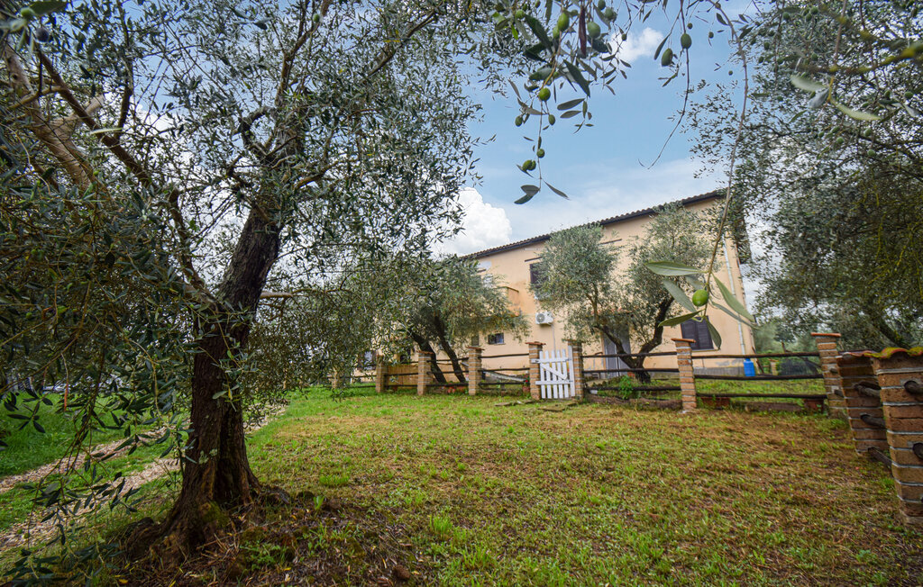Maison 5 personnes à Vignanello - Photo 8