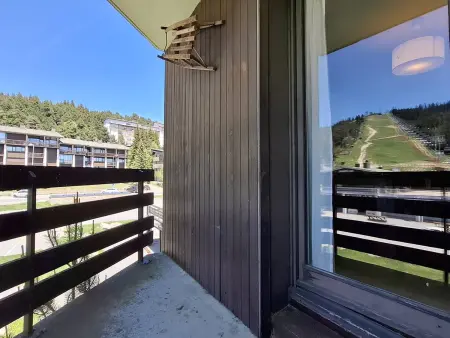T2 cabine 4 personnes balcon face aux pistes : photo 10