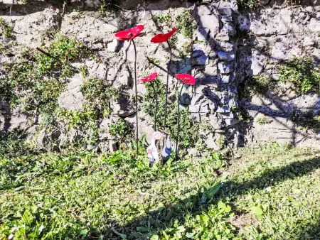 Papaveri e Papere, Maison 6 personnes à Carlazzo - Photo 29