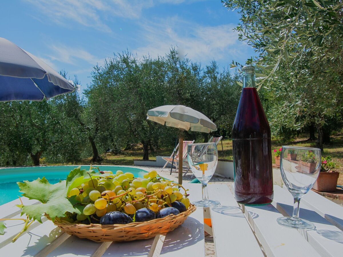 Villa Albertine, gîte 6 personnes avec piscine à Chianni - Photo 2