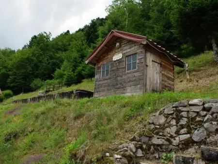 Gîte au cœur des Vosges avec vue montagne – 4 pers. - Photo 26