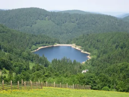 Gîte au cœur des Vosges avec vue montagne – 4 pers. - Photo 29