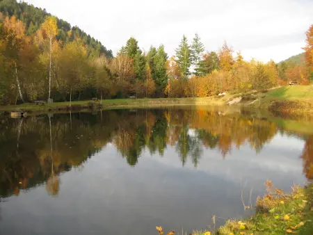 Gîte au cœur des Vosges avec vue montagne – 4 pers. - Photo 33