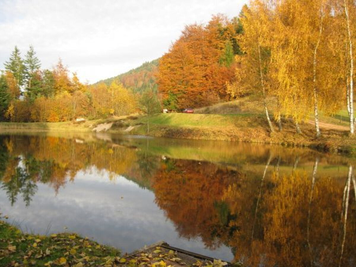 Chalet 6 pers. au cœur des Vosges, vue montagne - Photo 25