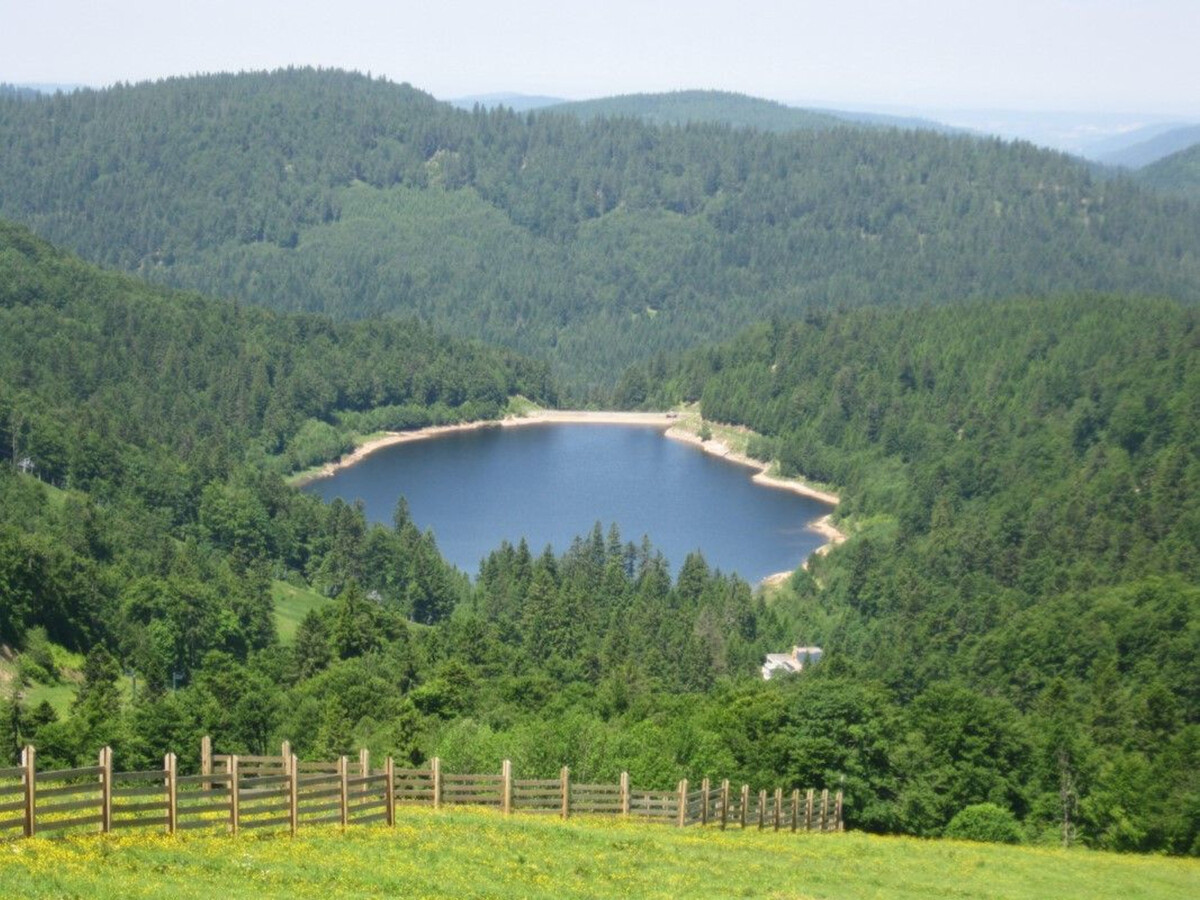 Chalet 6 pers. au cœur des Vosges, vue montagne - Photo 35