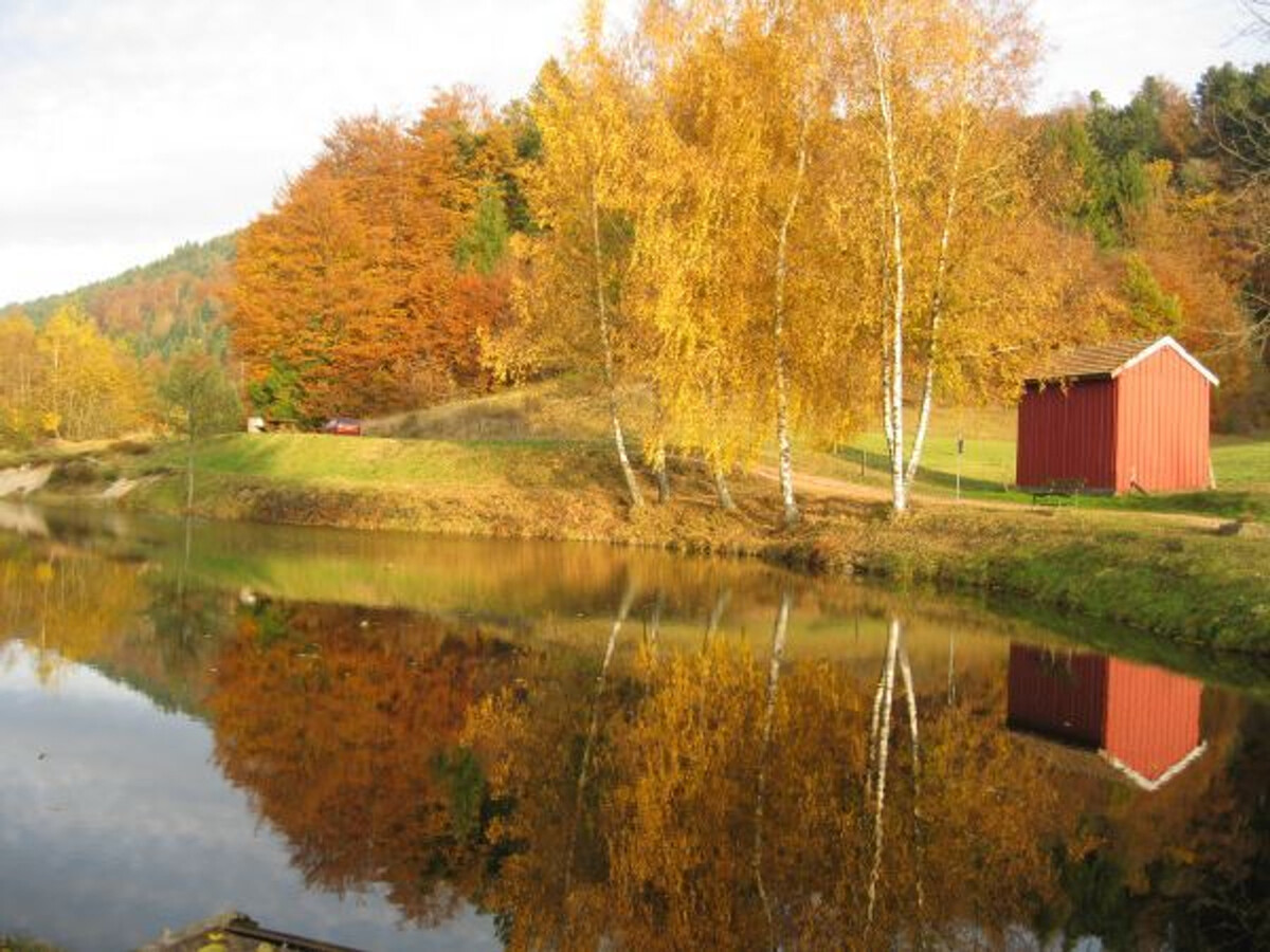 Gîte 4 pers. au cœur des Vosges - Vue montagne - Photo 21