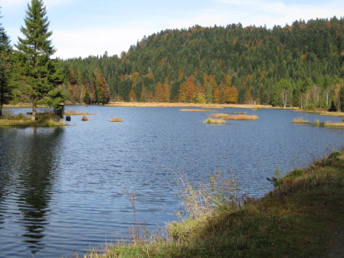 Gîte 4 pers. au cœur des Vosges - Vue montagne - Photo 25