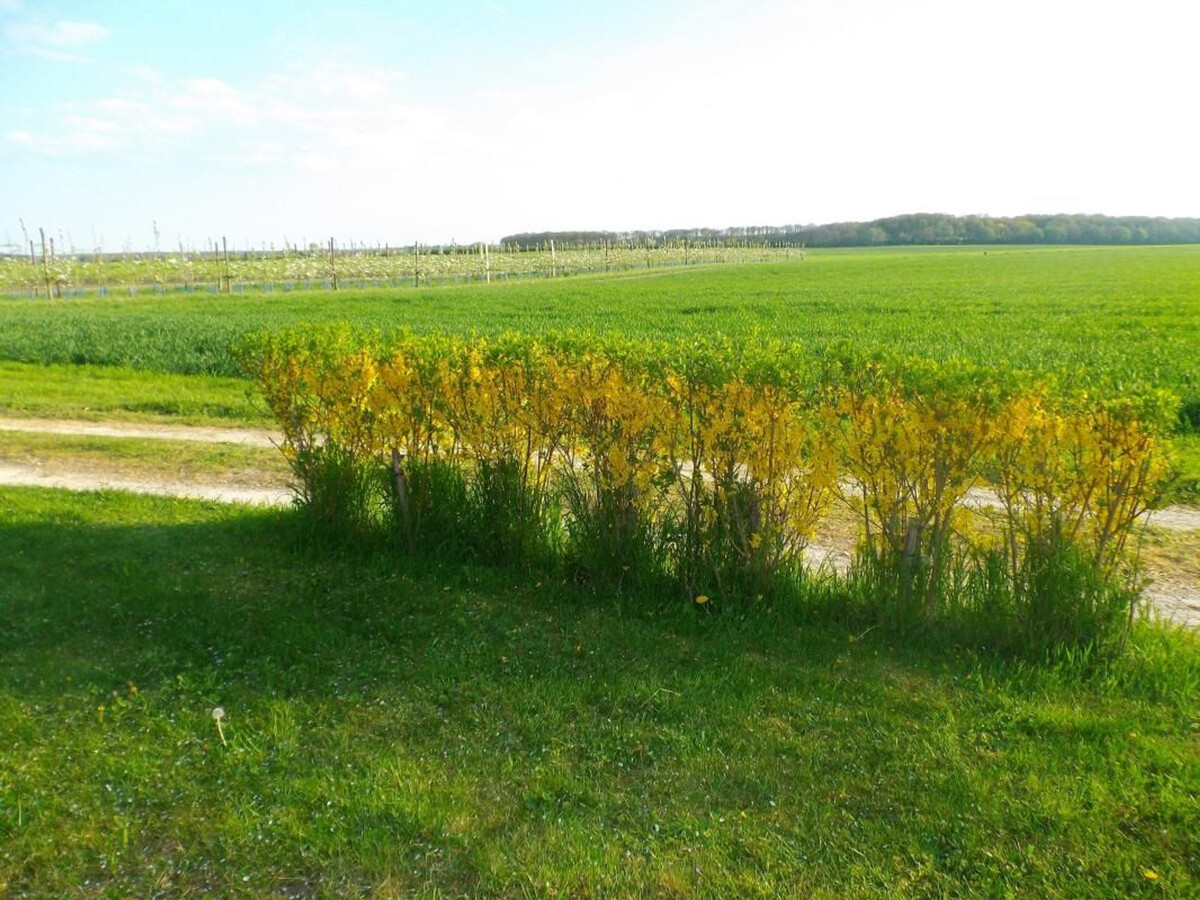 Gîte 6 pers. en maison forte XVIè, animaux acceptés - Photo 26
