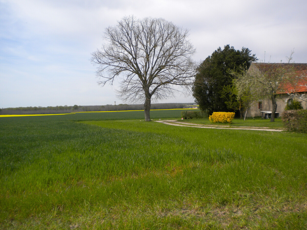 Gîte 6 pers. en maison forte XVIè, animaux acceptés - Photo 27