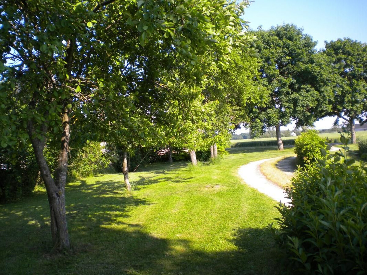 Gîte 6 pers. en maison forte XVIè, animaux acceptés - Photo 28
