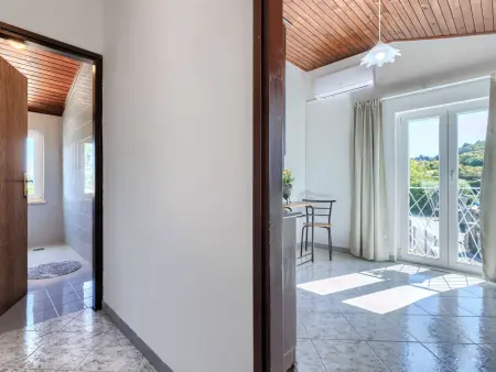 Villa Accordia, maison 6 chambres avec piscine à Labin : photo 33