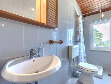 Villa Accordia, maison 6 chambres avec piscine à Labin : photo 47