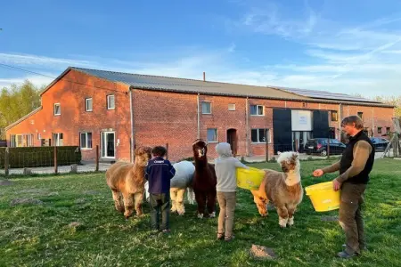 Hol van de vos, Ferme avec four à pizza - Photo 8