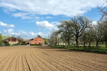 Hol van de vos, Ferme avec four à pizza - Photo 32
