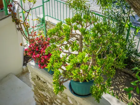 Tonka, Maison 4 personnes à Rabac - Photo 31