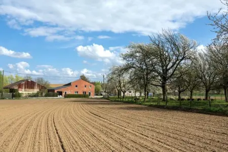 Huis van de raaf - wellness, Ferme avec jardin et terrasse couverte - Photo 33