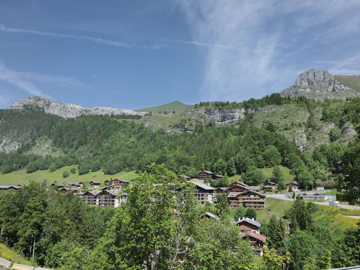Studio 32m² ski aux pieds au Grand-Bornand, 5 pers - Photo 12