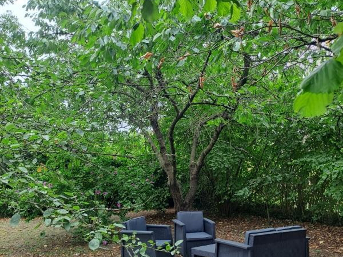 Gîte tout confort, jardin clos 1400 m² à Pocé-sur-Cisse - Photo 21