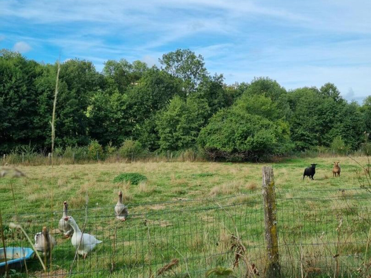 Le Tilleul : gîte 12 pers, 4 chambres à Grammond - Photo 33
