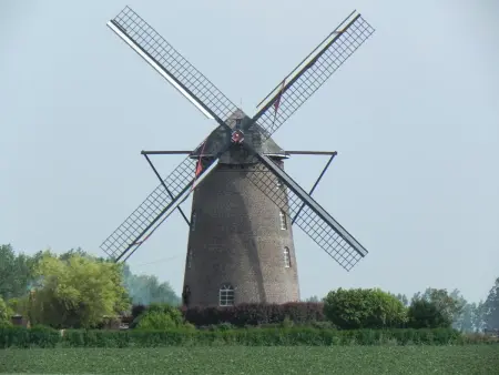 Le Refuge d'Onyx, gîte écologique labellisé à Steenvoorde : photo 24