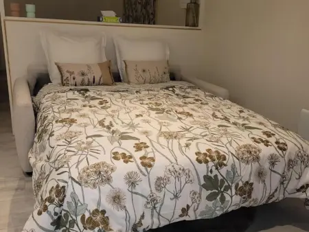 Studio 4 pers. avec spa privé près de Nigloland - Photo 16