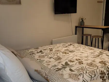 Studio 4 pers. avec spa privé près de Nigloland - Photo 17