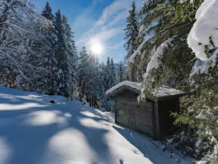 Chalet 7 chambres avec conciergerie 5* aux Allues : photo 28