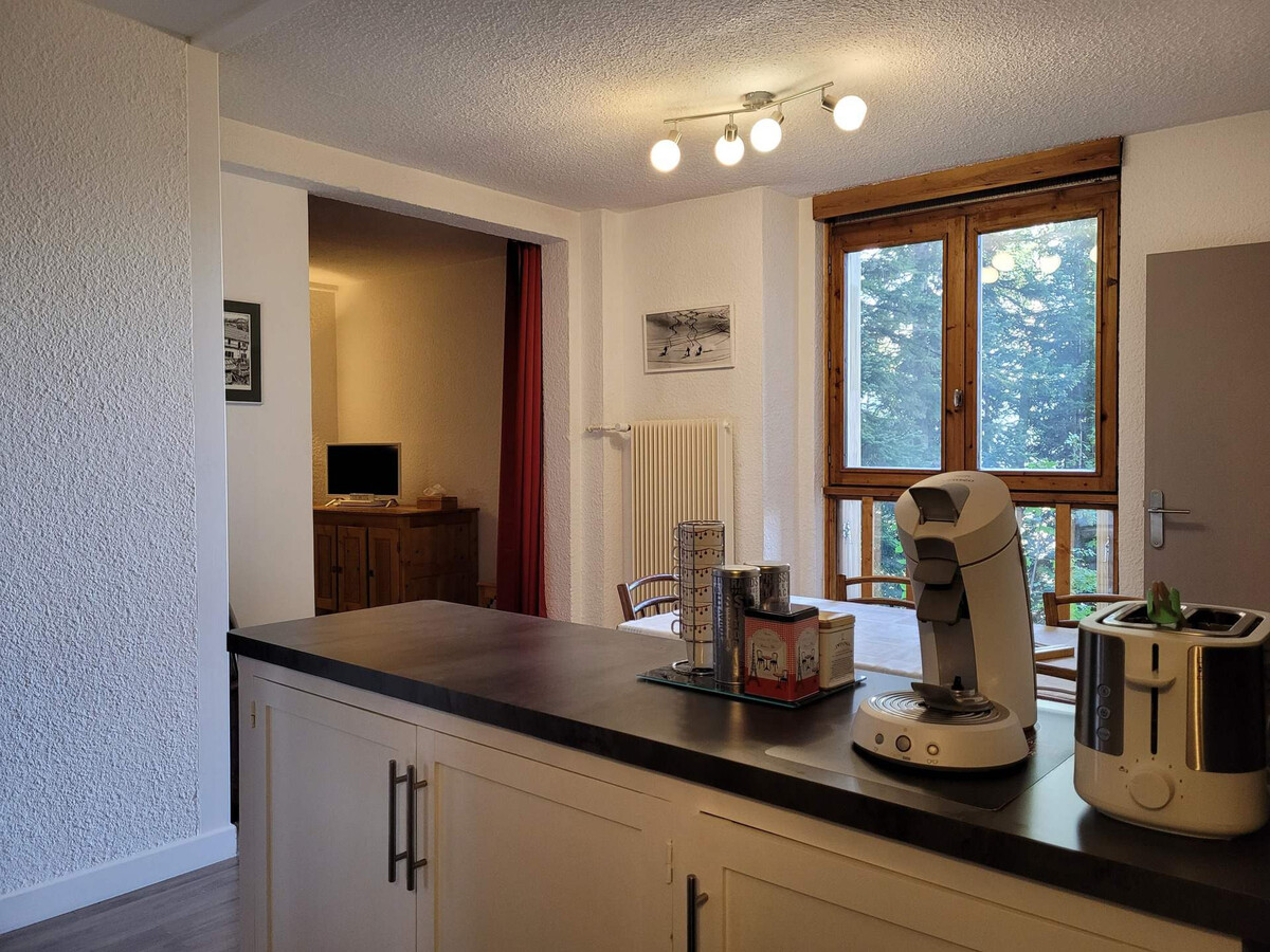 Studio 37 m² pour 5 à Pra-Loup 1600, accès direct pistes - Photo 11