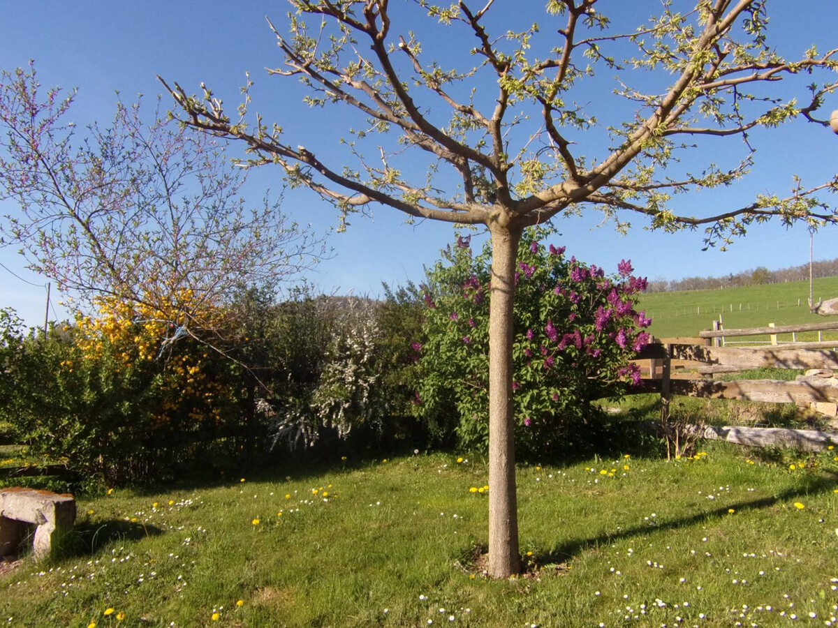 Gîte de ferme plain-pied avec terrain clos près de Neulise - Photo 4