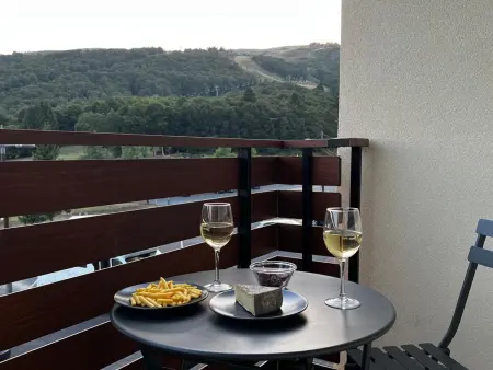 Location appartement à Besse et Saint Anastaise Super Besse, Studio moderne à Super Besse, vue lac des Hermines