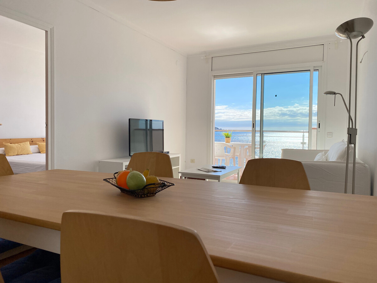 Appartement bord de mer à Roses, vue baie, animaux - Photo 4