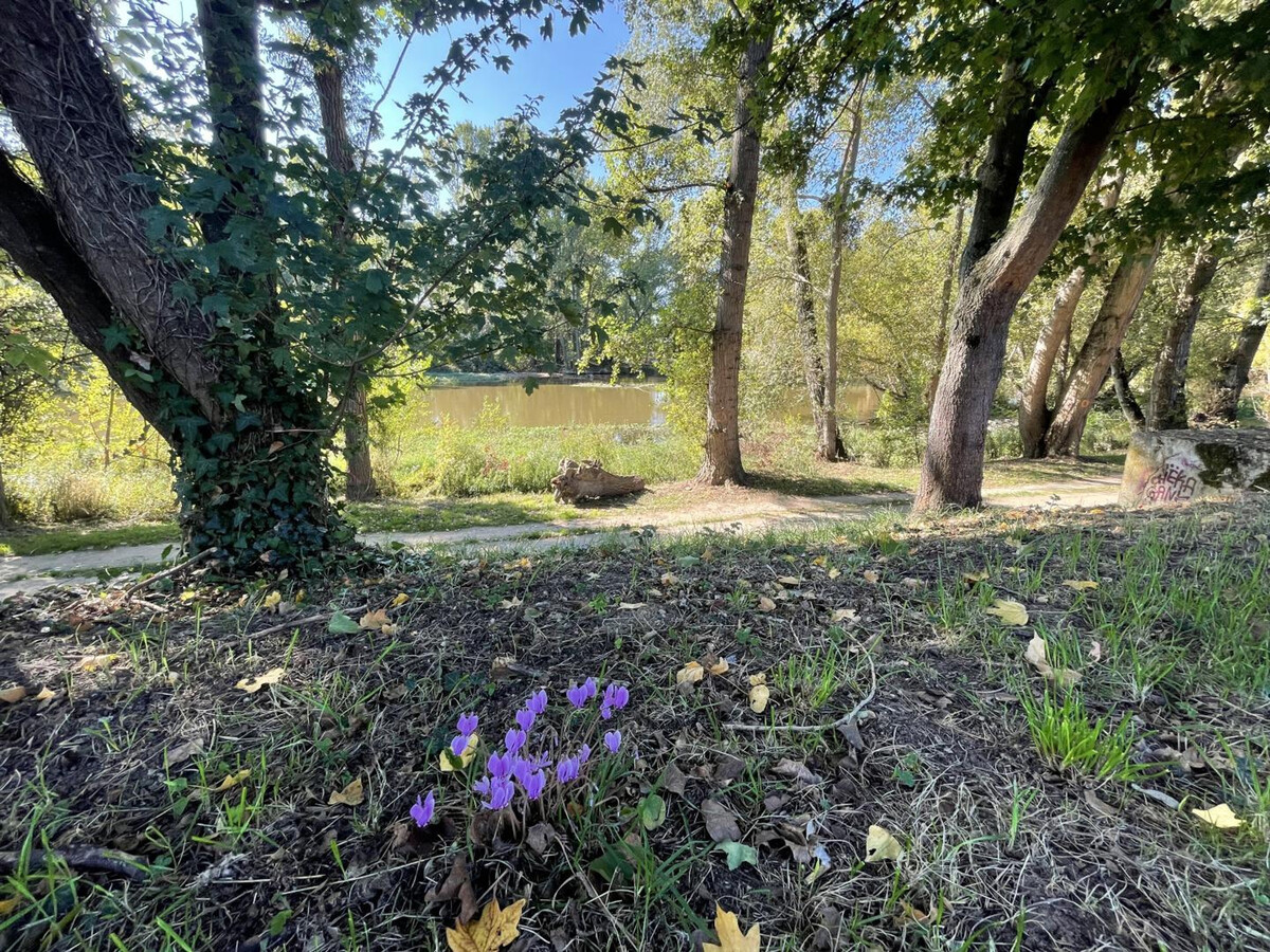 Gîte historique à Tours, jardin Loire et tout inclus - Photo 21