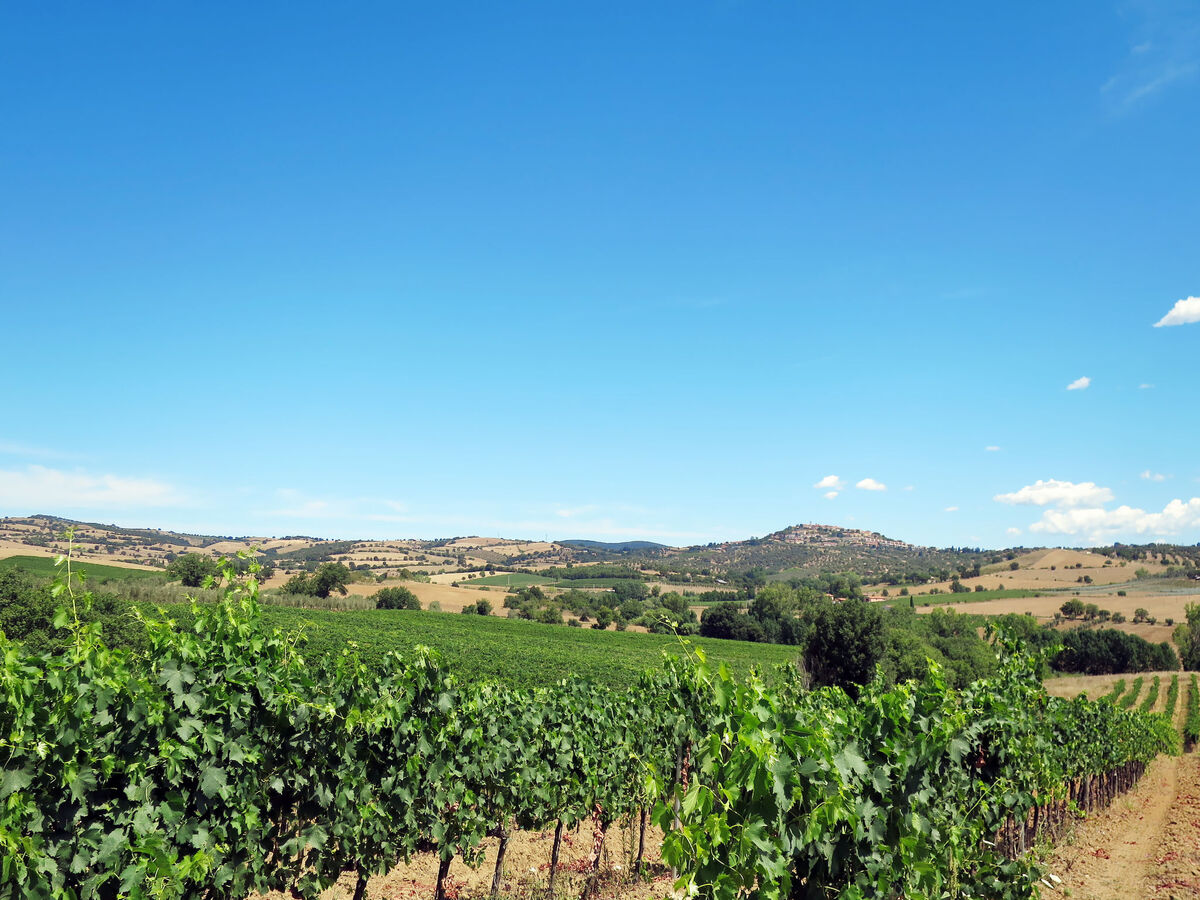 Il Belvedere di Montiano – Maison 5 chambres avec vue mer - Photo 56