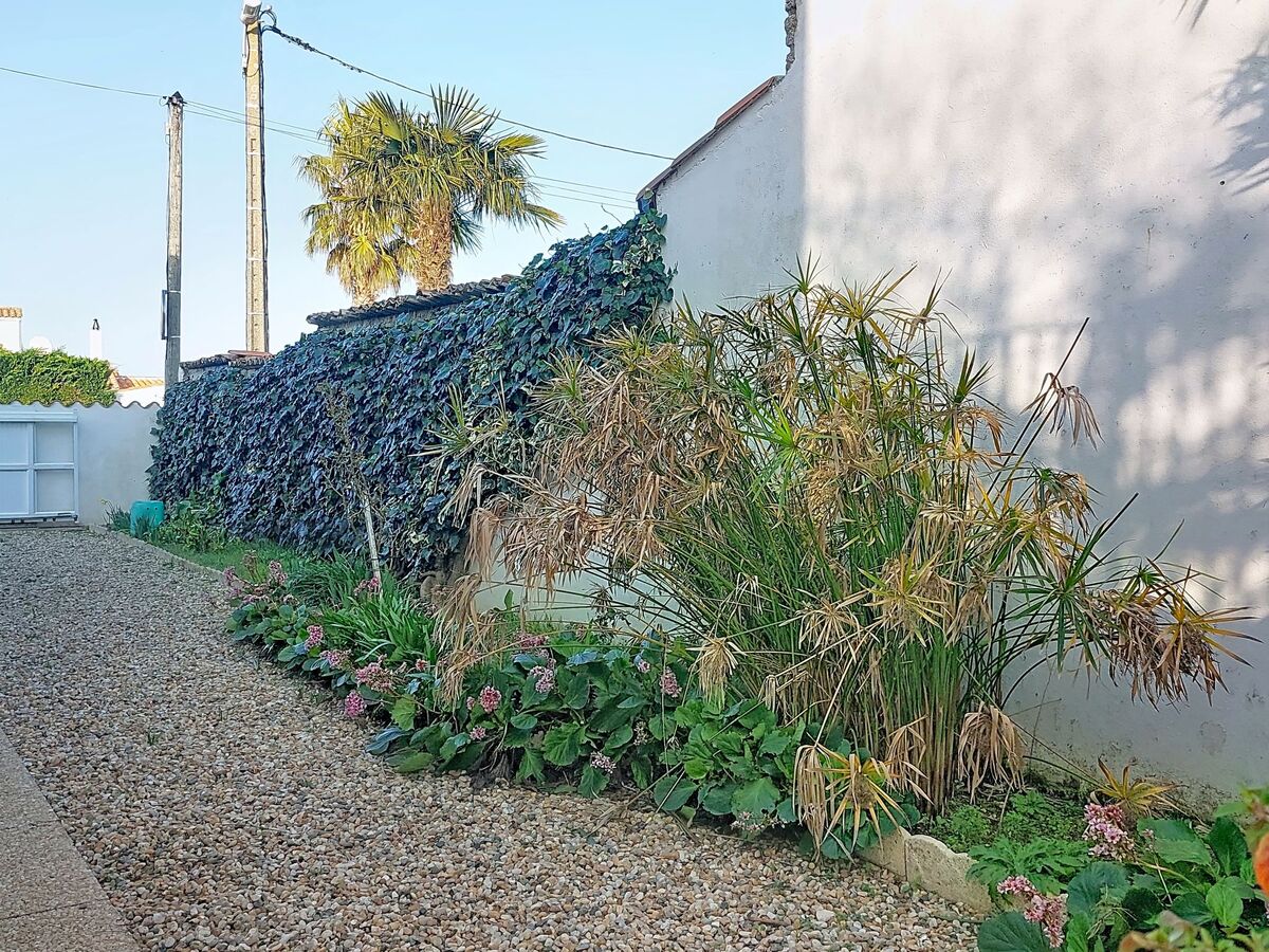 Maison L'Allée – 100 m² avec jardin à Saint-Pierre-d'Oléron - Photo 38