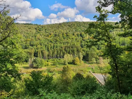 Chalet Agathe à Laforêt, vue village et terrasse de 25 m² : photo 47