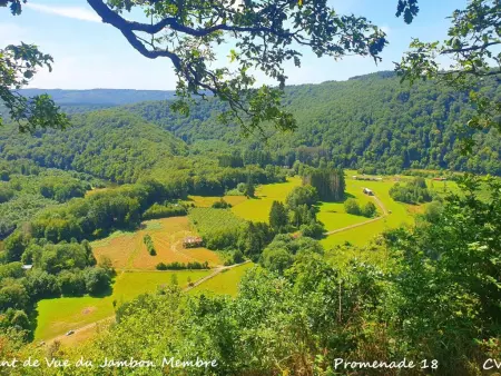 Chalet Agathe à Laforêt, vue village et terrasse de 25 m² : photo 56