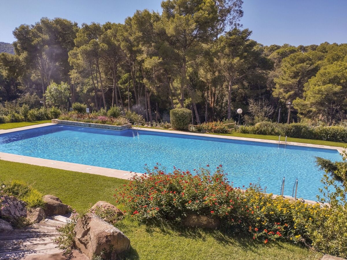 Sol Pins Tamariu – Appartement 2 chambres avec piscine - Photo 33