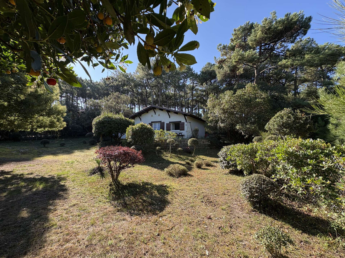 Villa 85 m² en lisière de forêt, 3 chambres, jardin 1 108 m² - Photo 2
