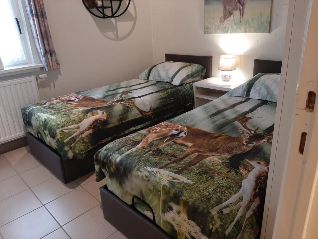 Coeur de Biche : maison avec jardin privé à Rendeux, BE - Photo 15