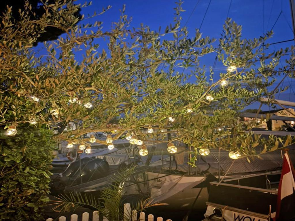Arlore : Maison de pêcheur au bord de l'eau à Port Grimaud - Photo 28