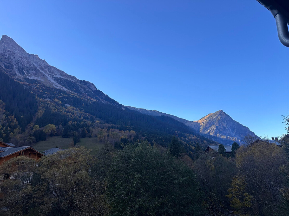 Appartement 3 pièces avec balcon, 500 m des pistes - Photo 8