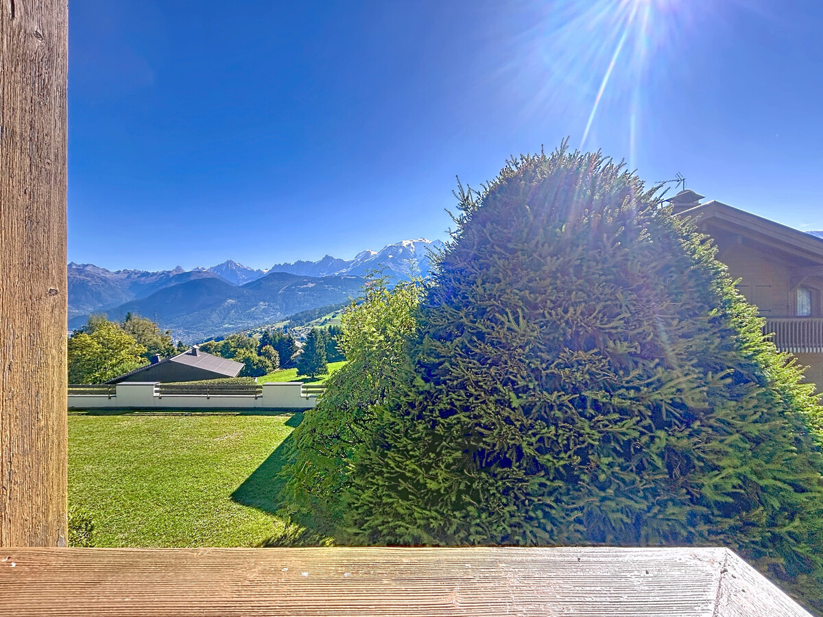 Appartement 2 chambres vue Mont Blanc à Combloux - Photo 7