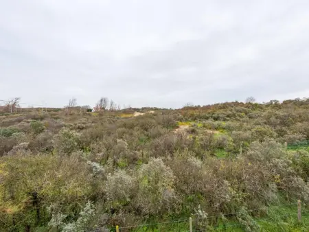 Villa Le Cozy à Koksijde : 3 chambres, jardin, à 1 km de la mer : photo 17