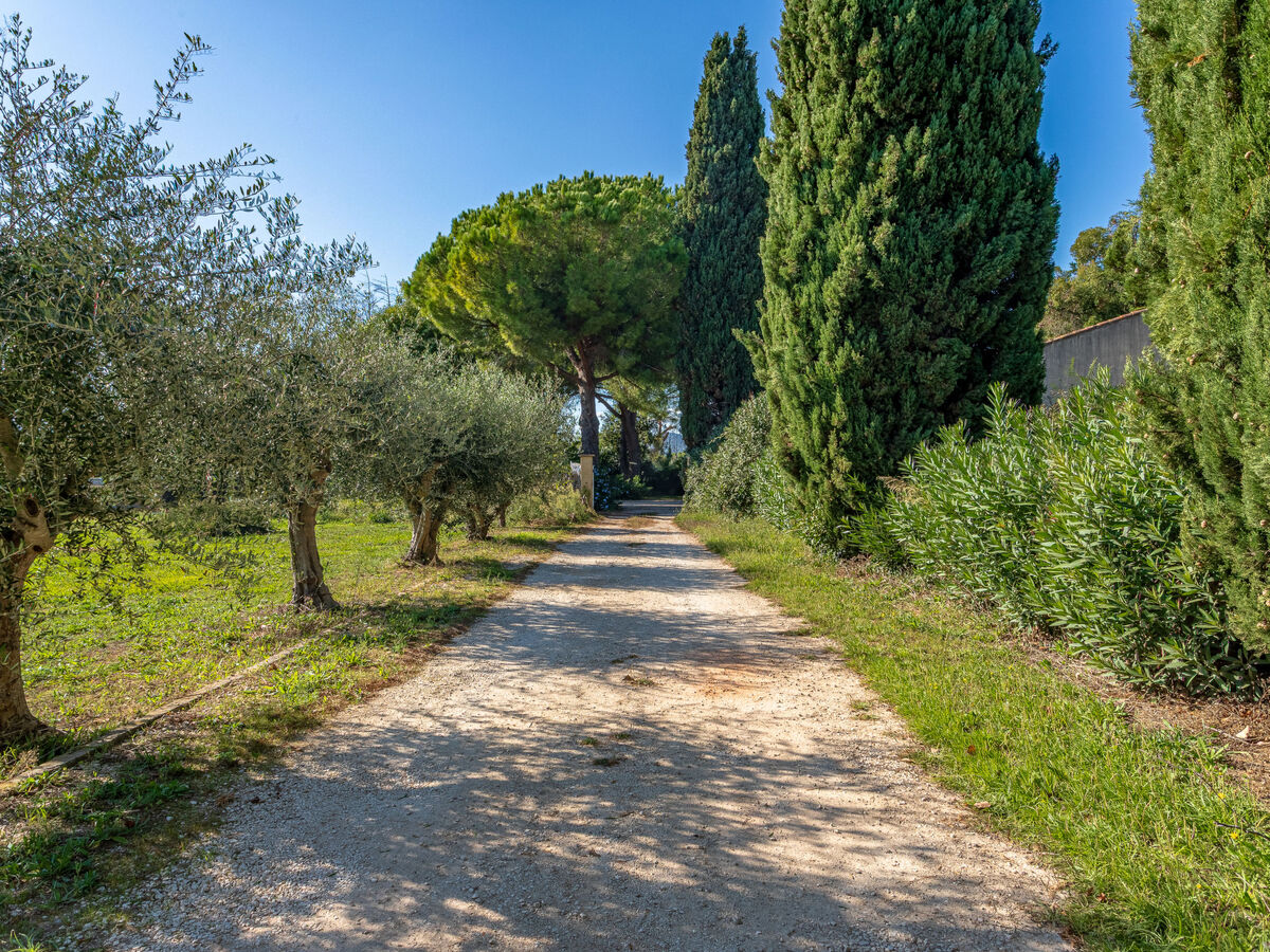 Villa Palmeraie 8 pers. à 1,5 km de la plage - Photo 5