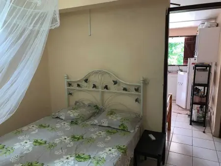 Appartement avec jardin et terrasse privés à Rivière-Pilote : photo 2